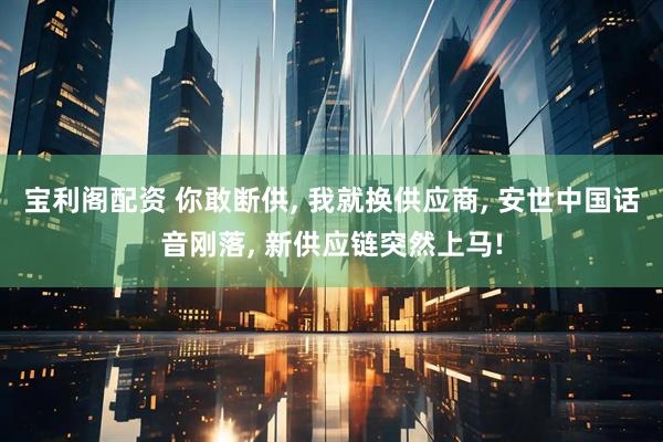 宝利阁配资 你敢断供, 我就换供应商, 安世中国话音刚落, 新供应链突然上马!